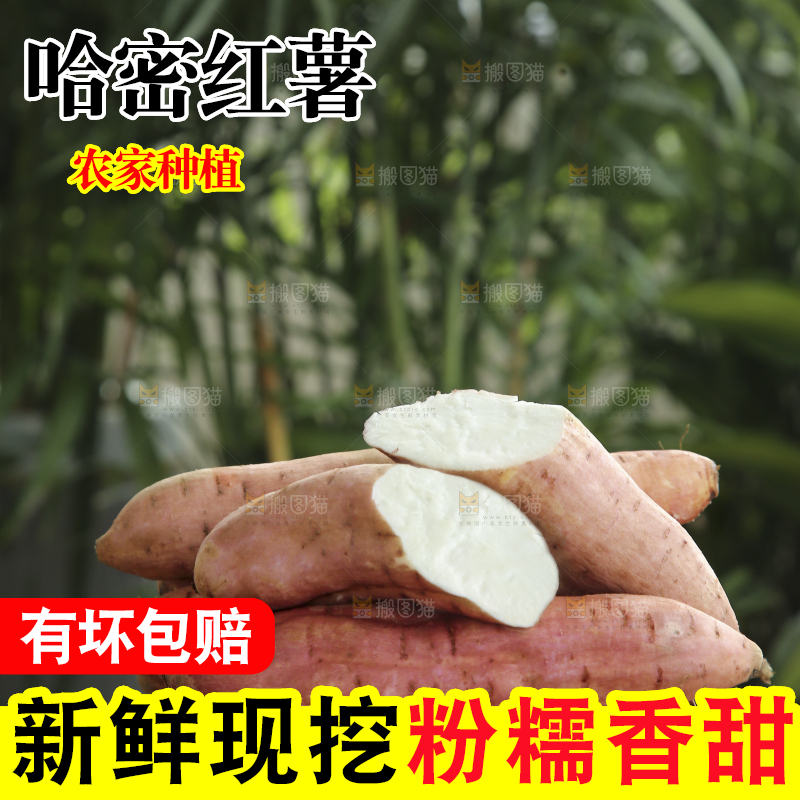 木底上的哈密冰糖薯