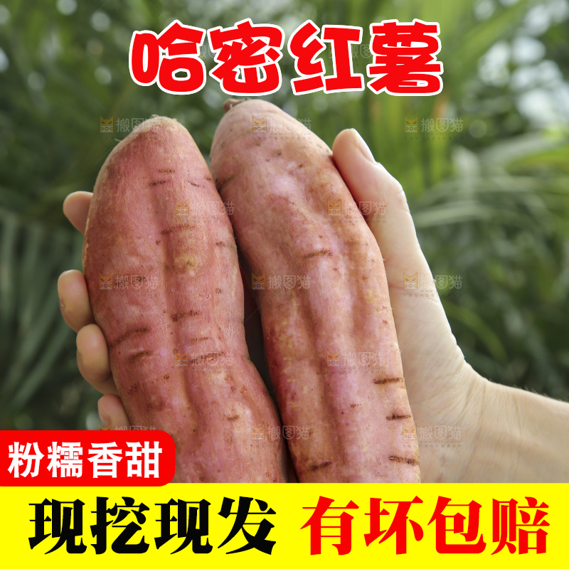 木底上的哈密冰糖薯