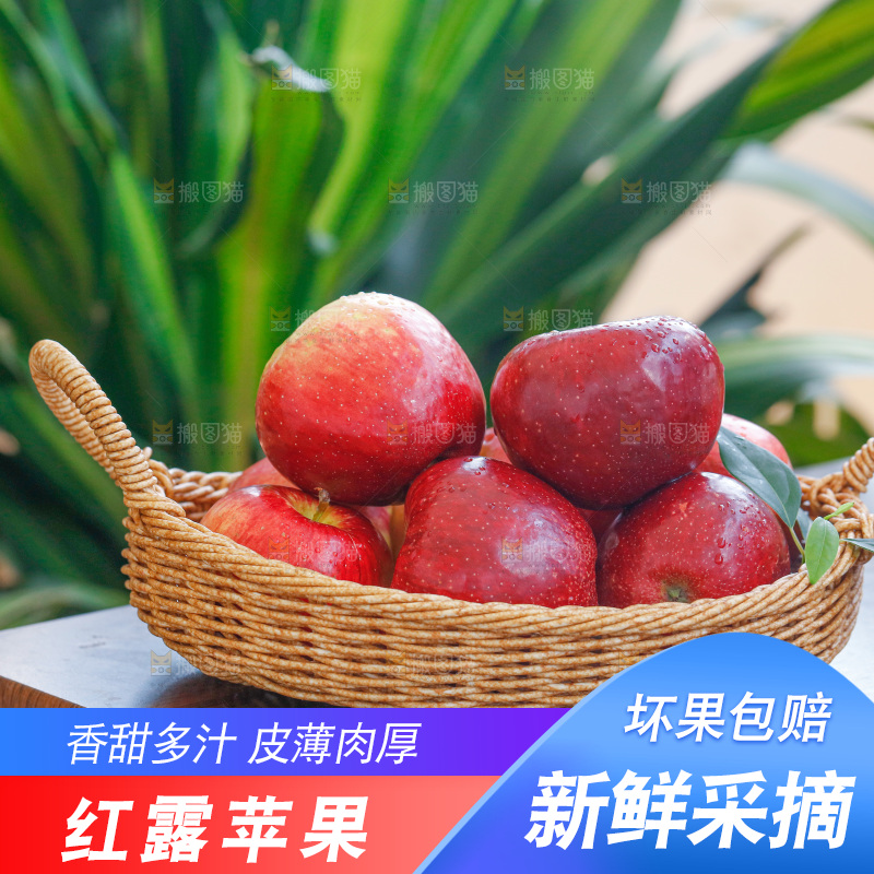 手里拿着红露苹果