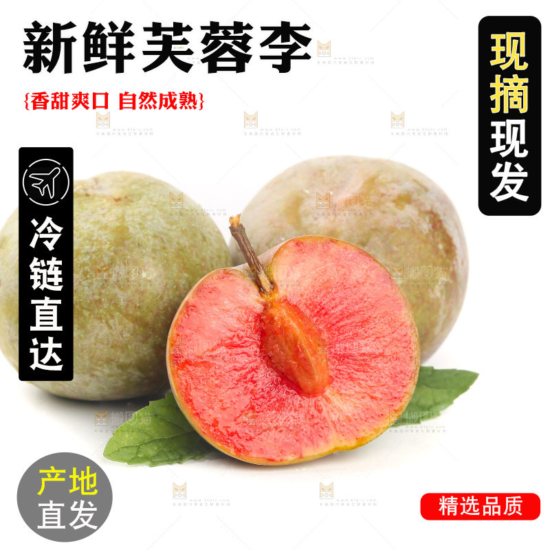 白底上的芙蓉李