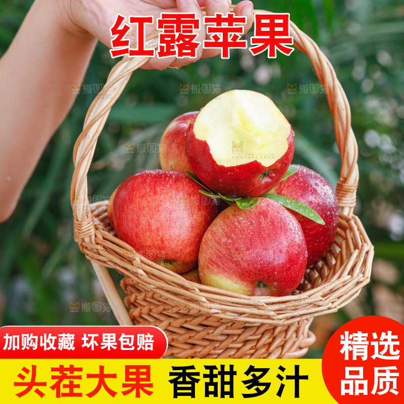 手里拿着红露苹果
