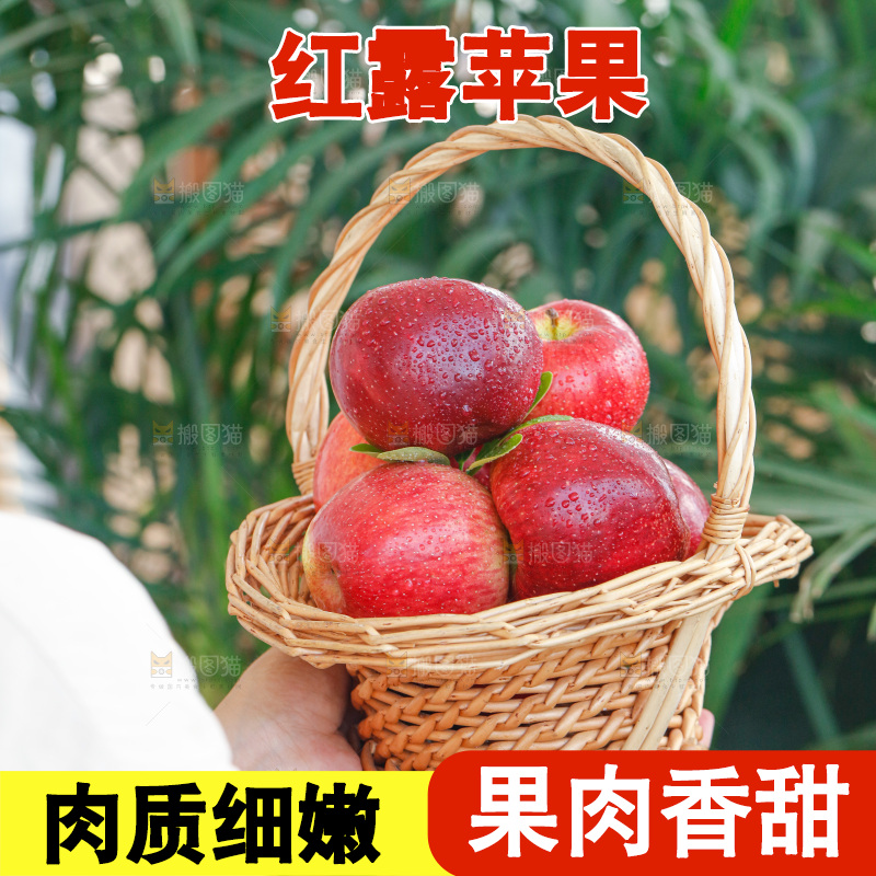 手里拿着红露苹果