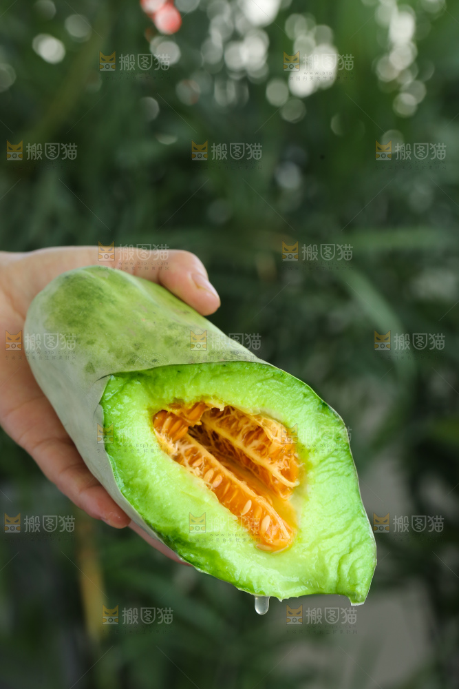 手里拿着羊角蜜甜瓜