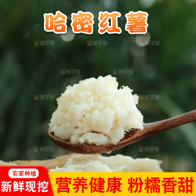 手里拿着白心冰糖薯