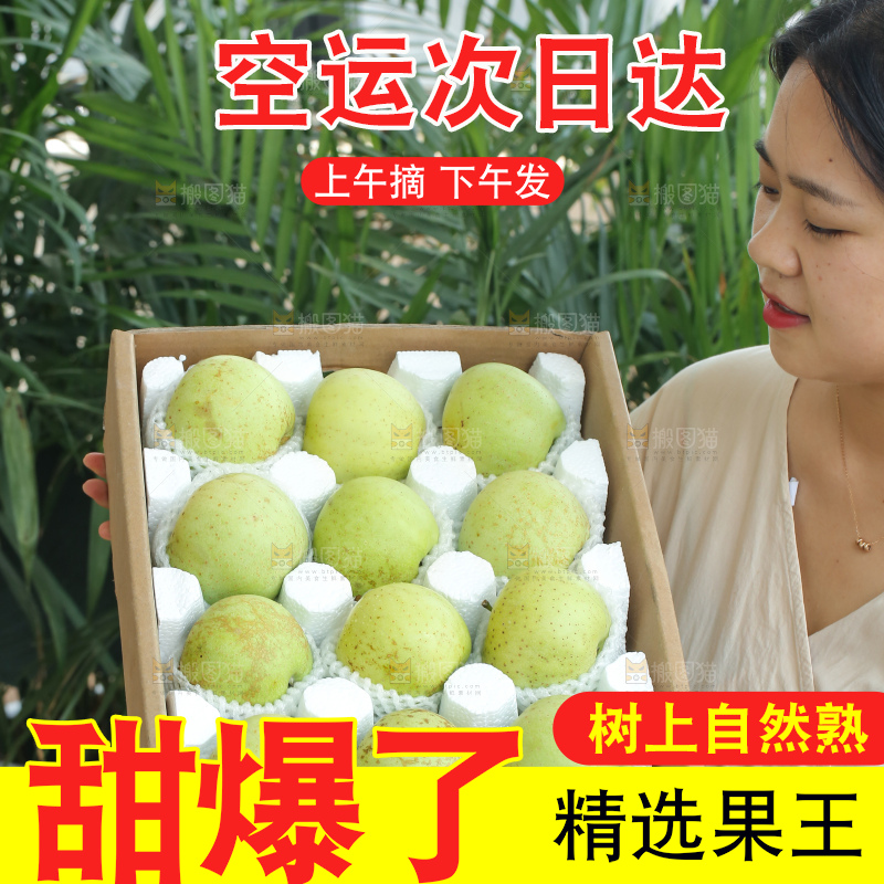 手里拿着金帅青苹果