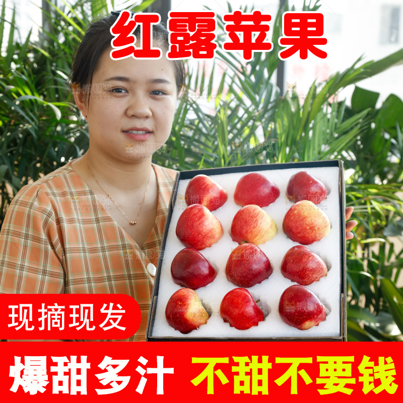 手里拿着红露苹果