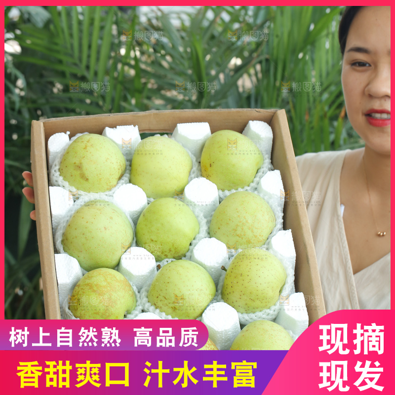手里拿着金帅青苹果