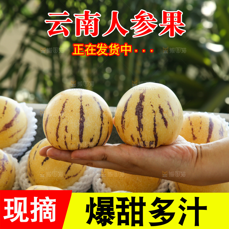 木底上的石林人参果