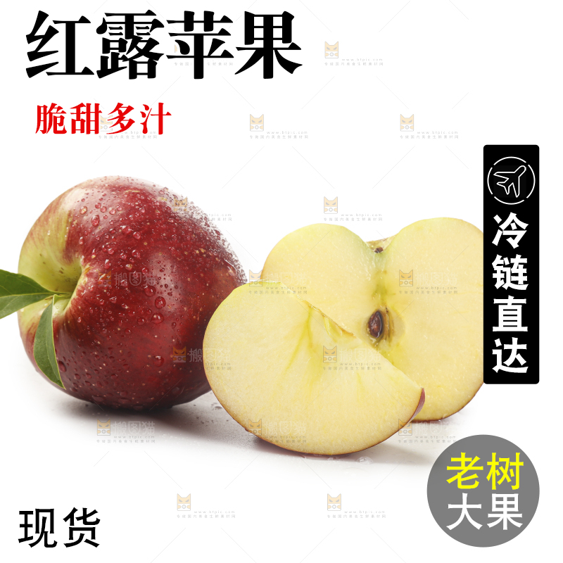 白底上的红露苹果