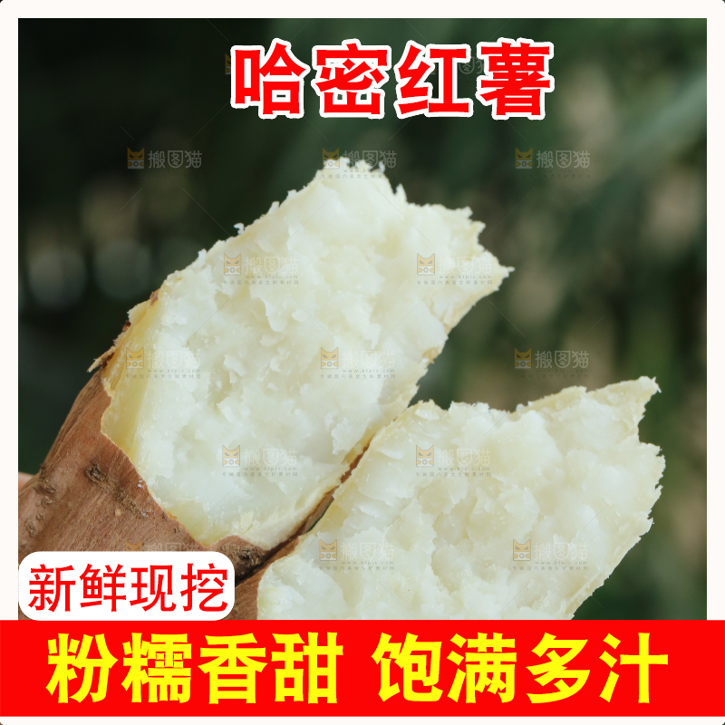 手里拿着白心冰糖薯
