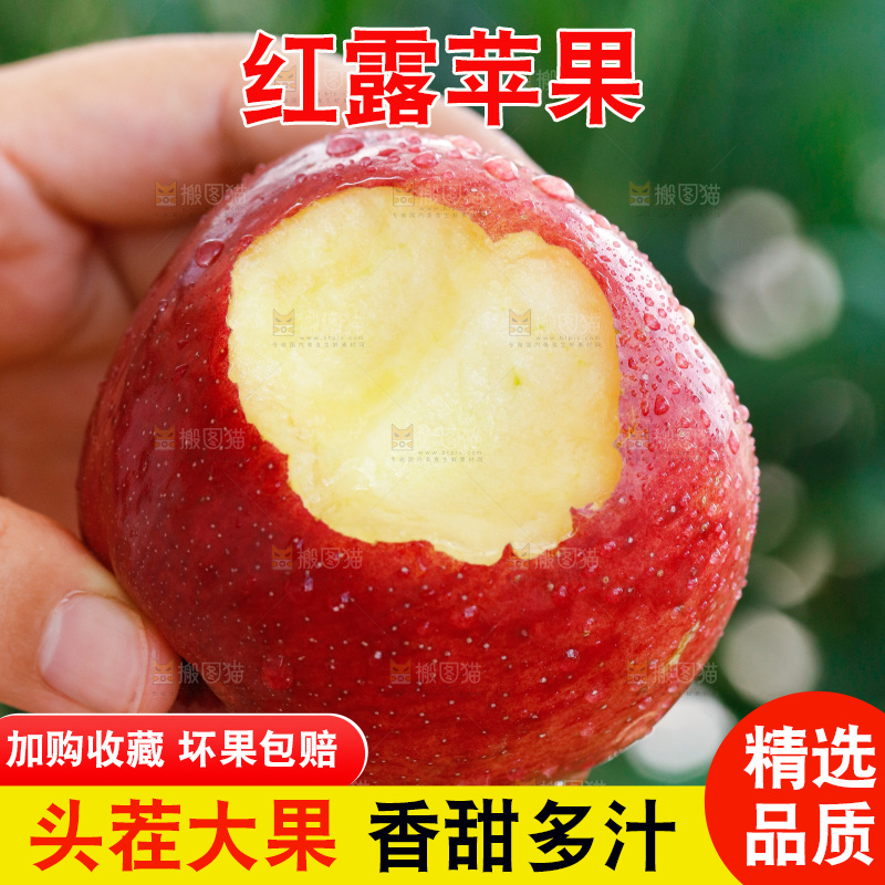 手里拿着红露苹果
