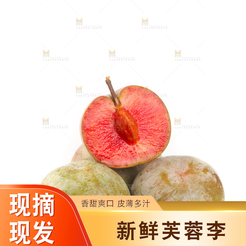 白底上的芙蓉李