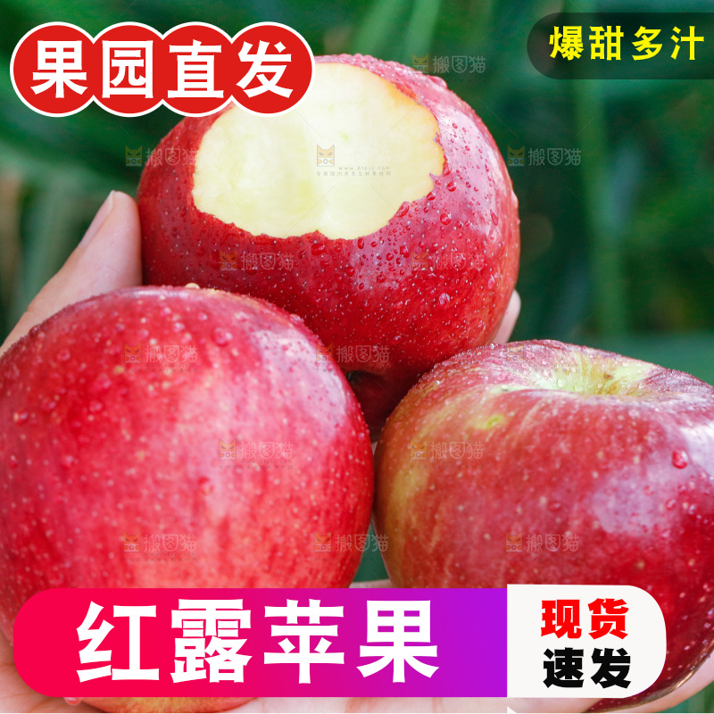 手里拿着红露苹果