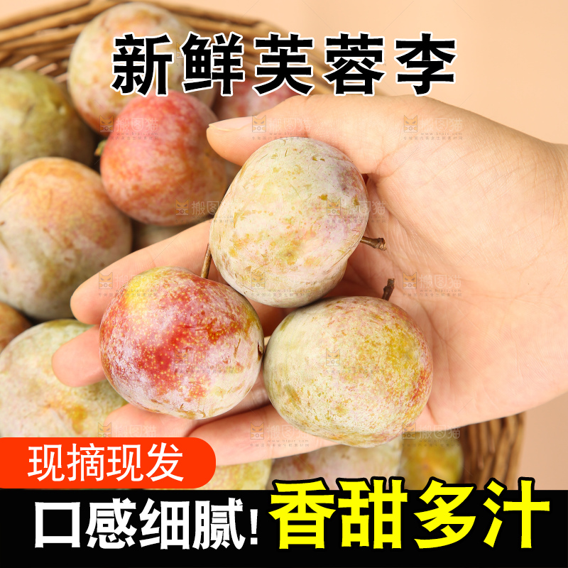 浅底上的芙蓉李