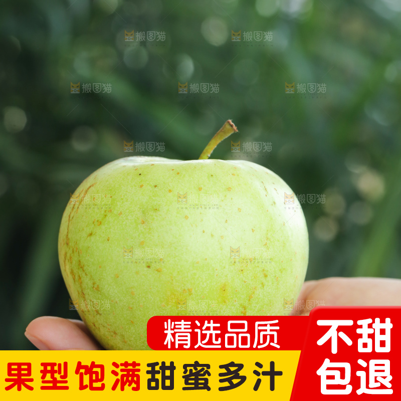 手里拿着金帅青苹果