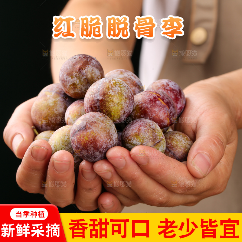 木底上的红脆李