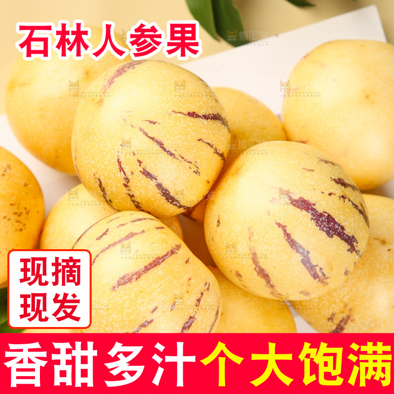 木底上的石林人参果