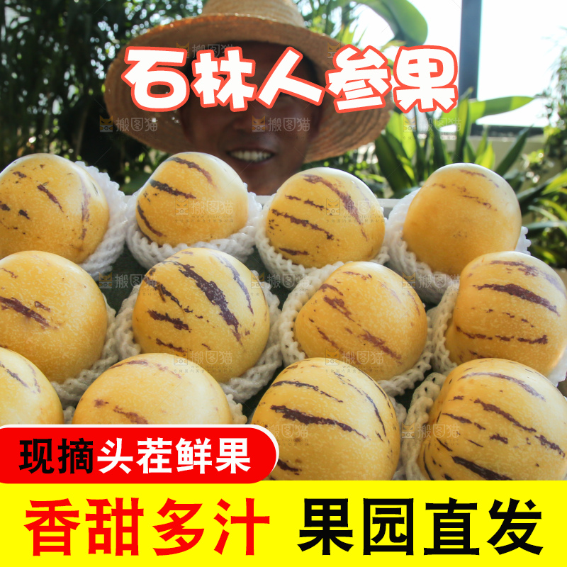 手里拿着一箱石林人参果