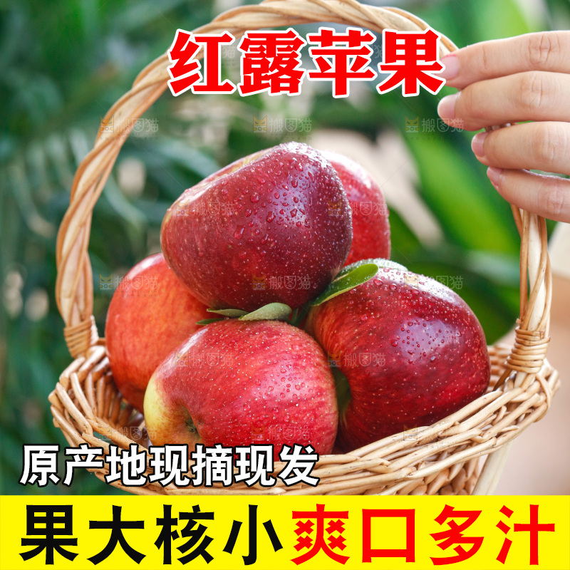 手里拿着红露苹果