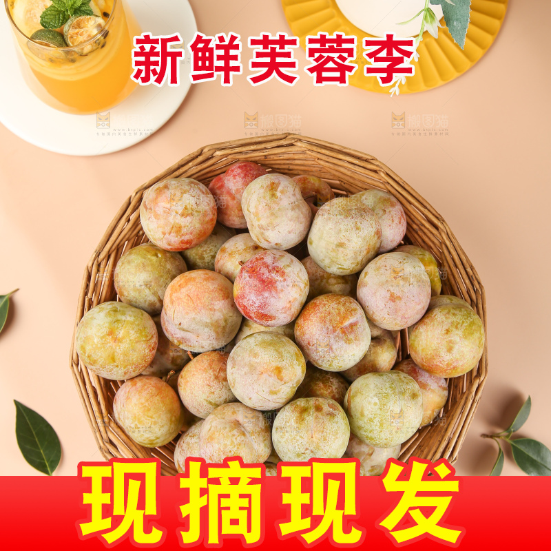 浅底上的芙蓉李