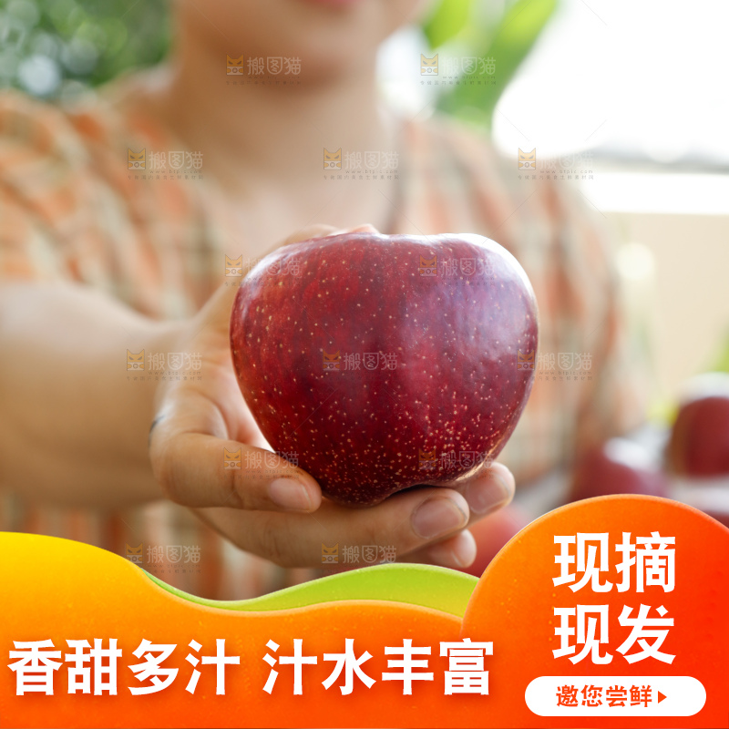手里拿着红露苹果