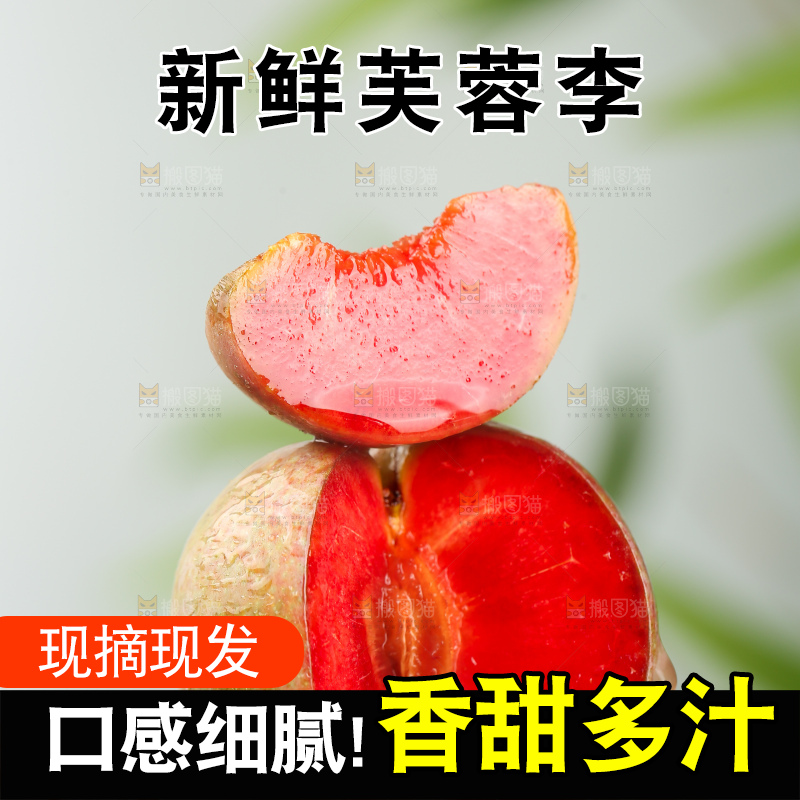 浅底上的芙蓉李