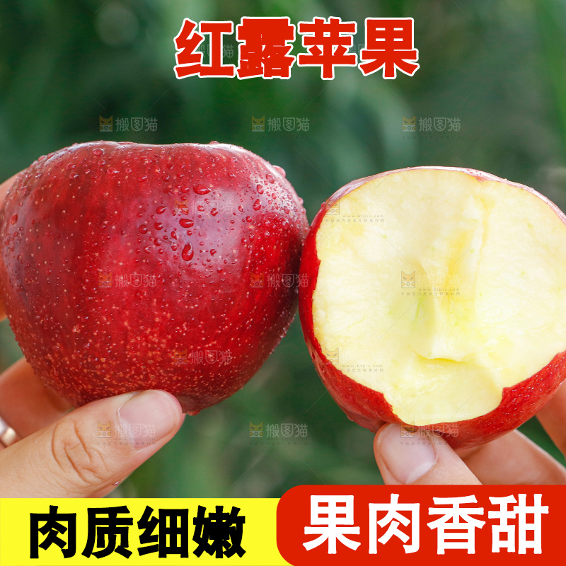 手里拿着红露苹果