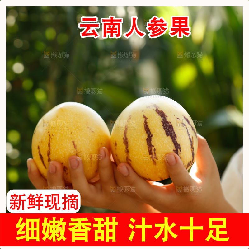 手里拿着石林人参果