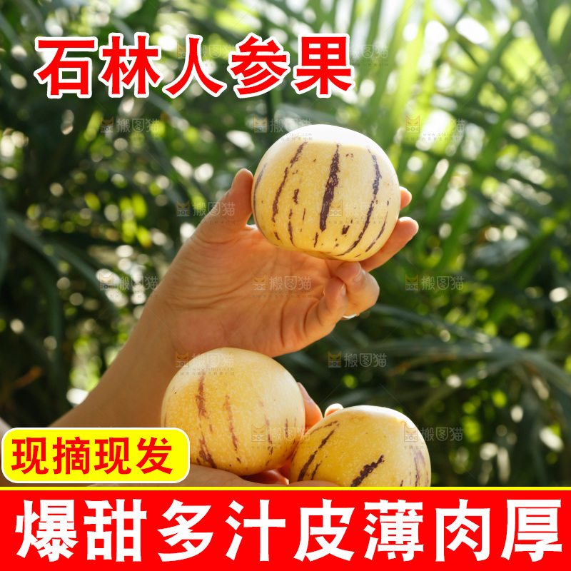 手里拿着石林人参果
