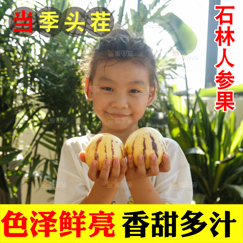 手里拿着石林人参果