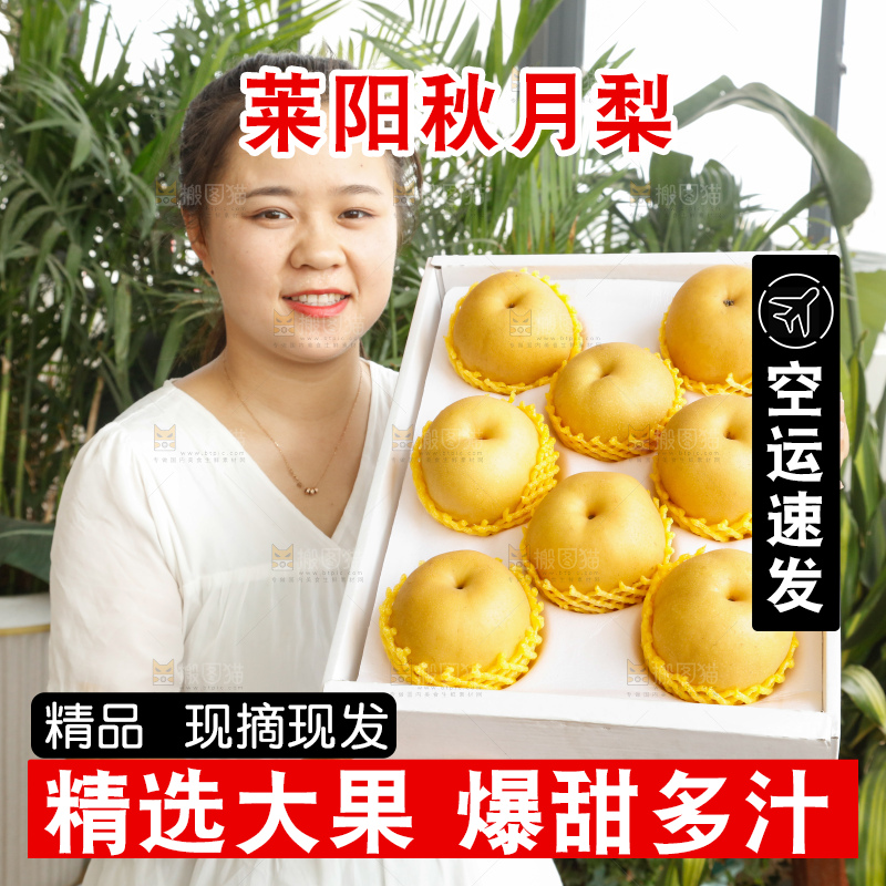 手里拿着一箱秋月梨