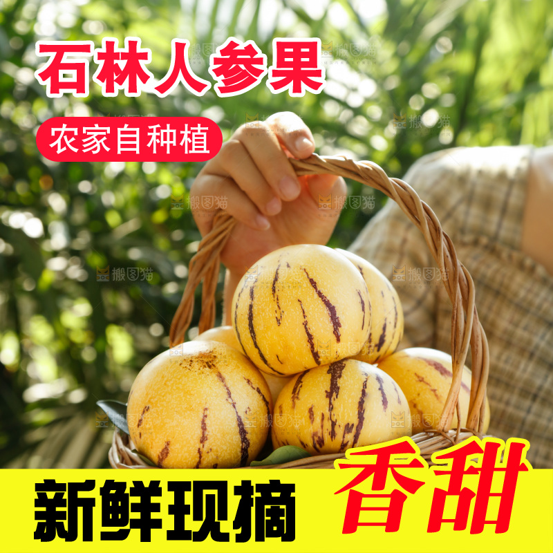 手里拿着石林人参果