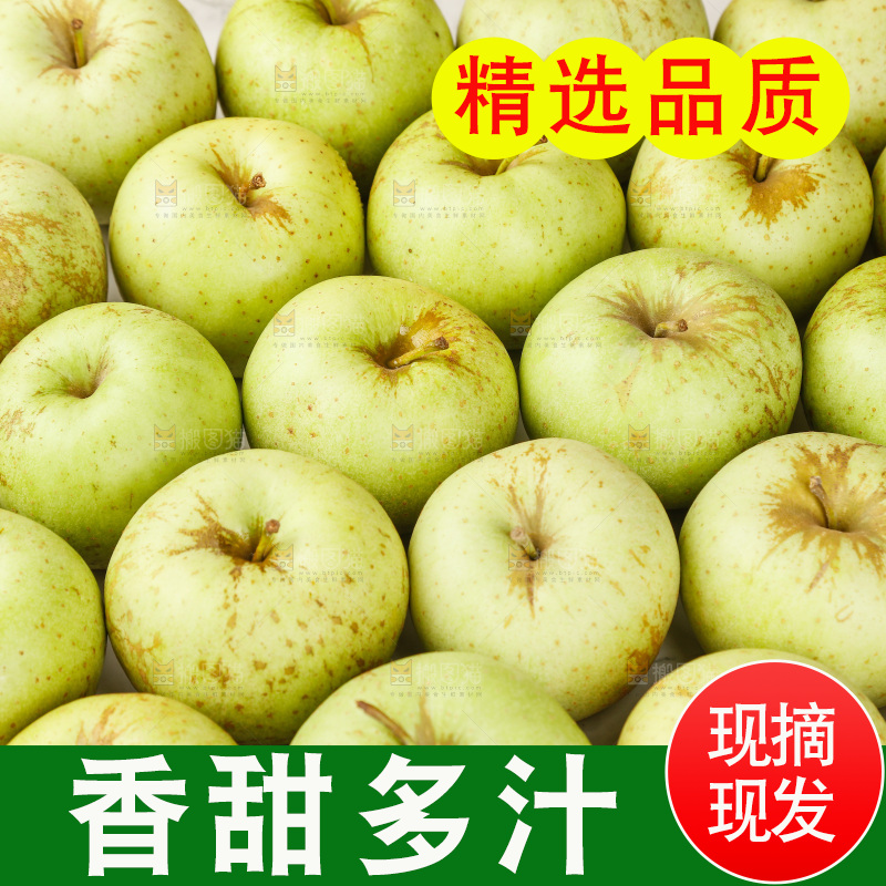 浅底上的金帅青苹果