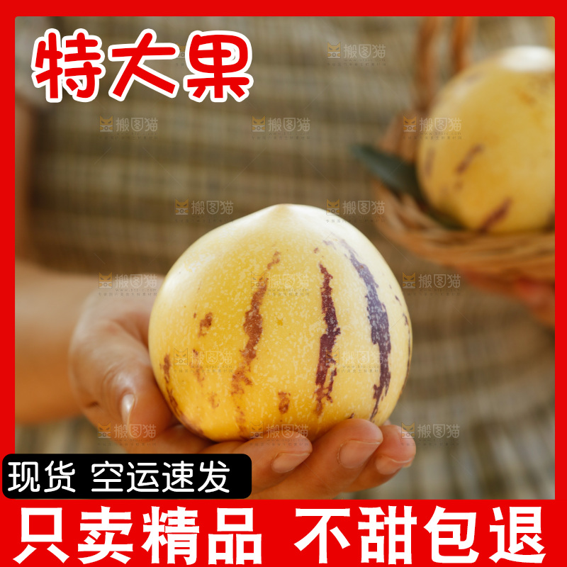 手里拿着石林人参果