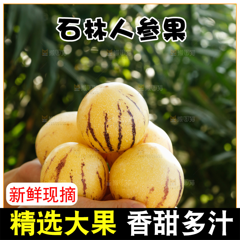 手里拿着石林人参果