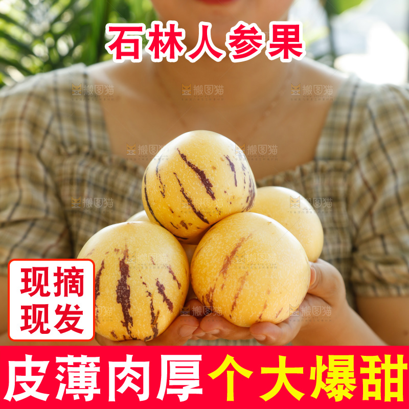 手里拿着石林人参果