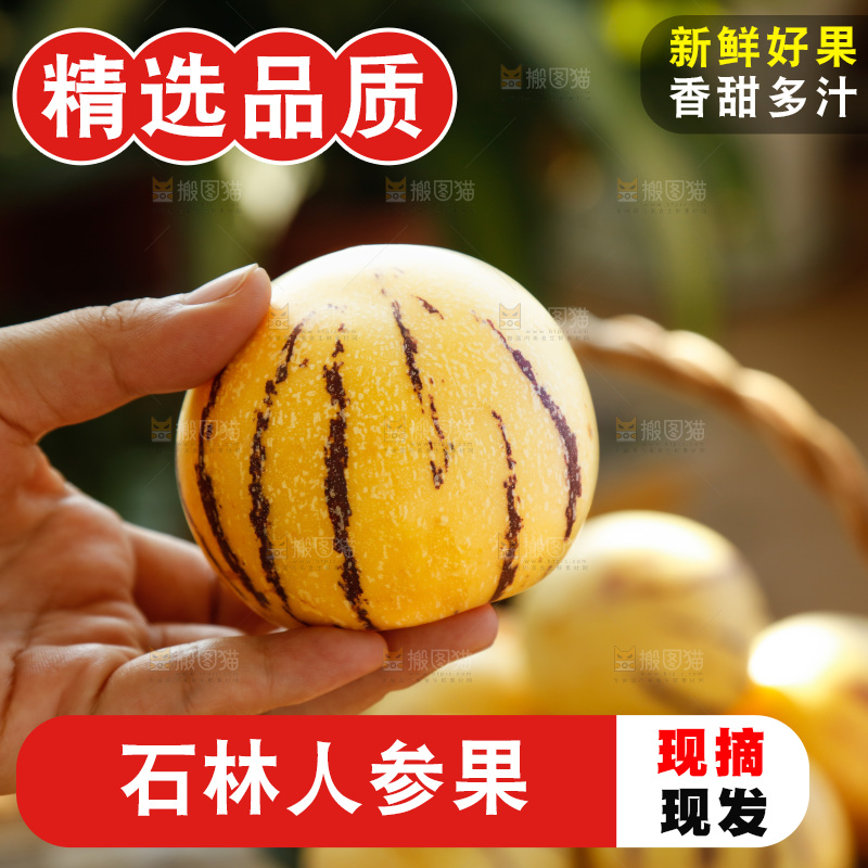 手里拿着石林人参果