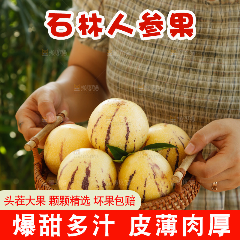 手里拿着石林人参果