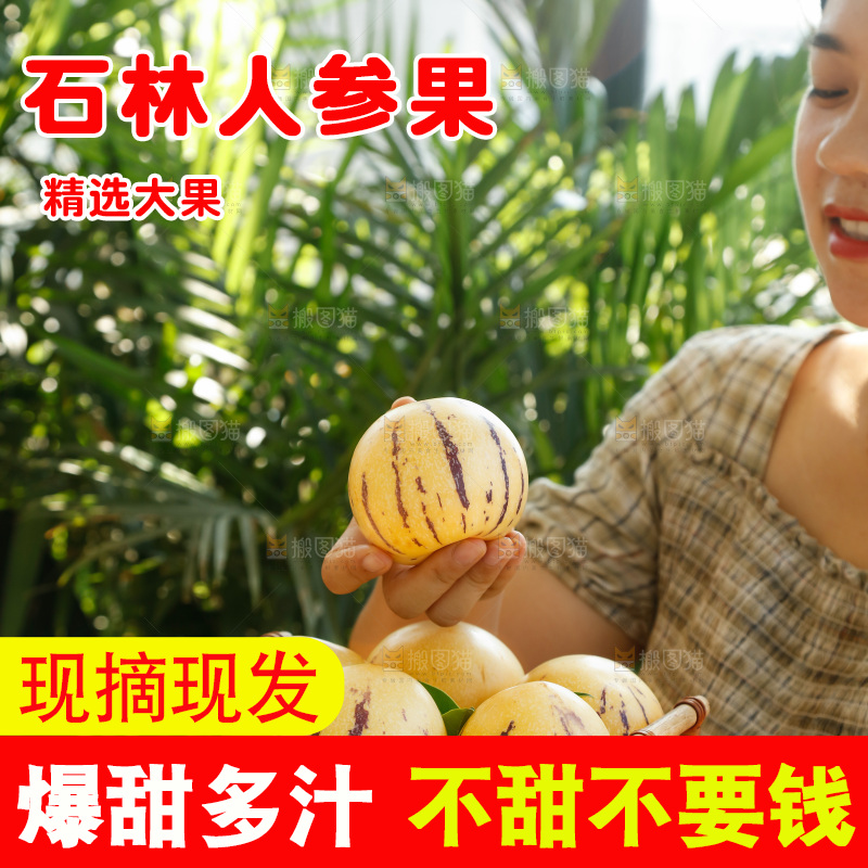 手里拿着石林人参果