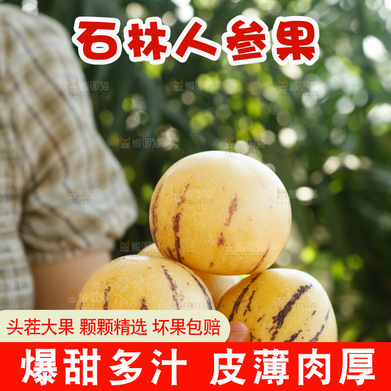 手里拿着石林人参果