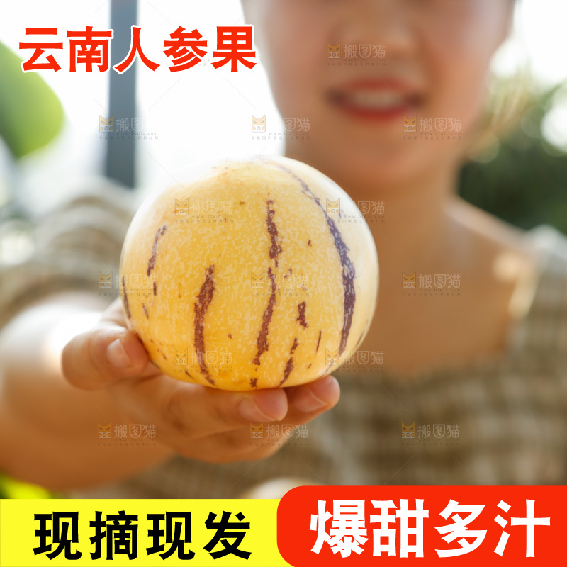 手里拿着石林人参果