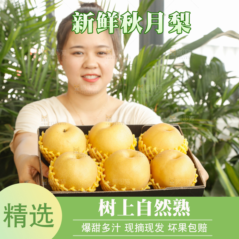 手里拿着一箱秋月梨