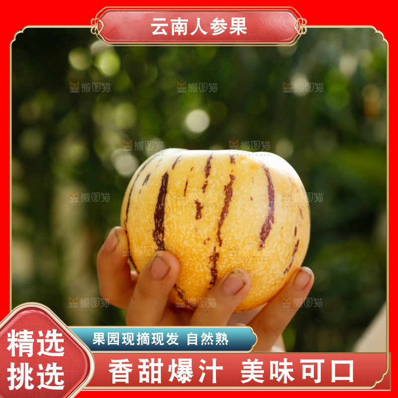 手里拿着石林人参果