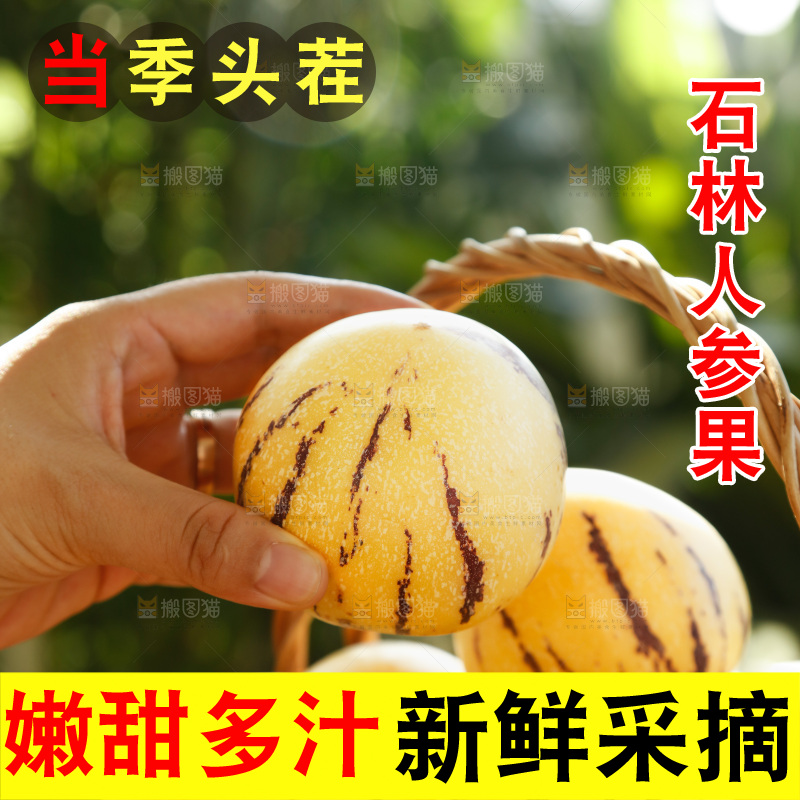 手里拿着石林人参果