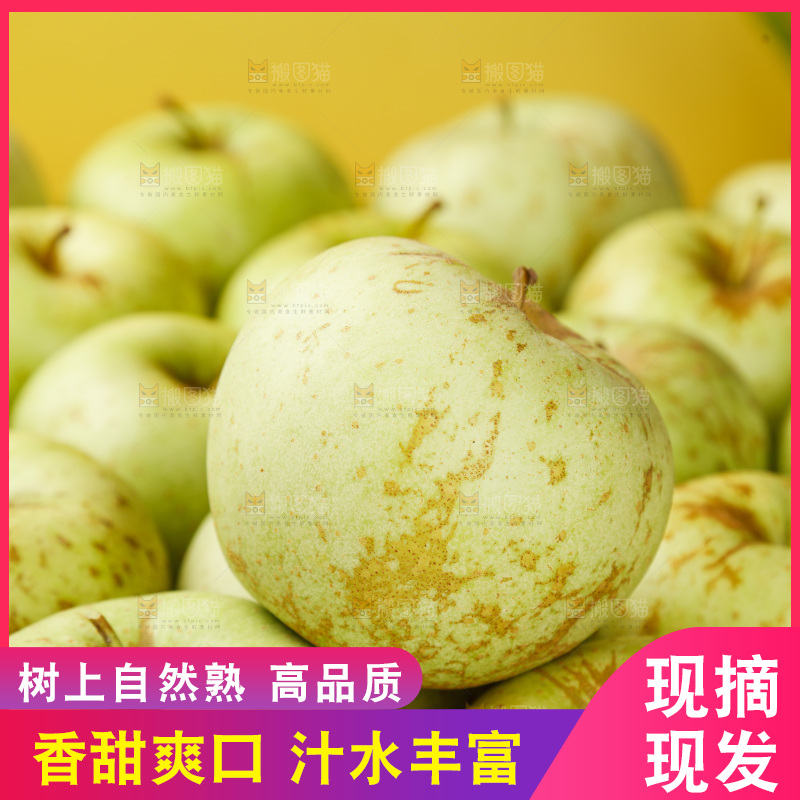浅底上的金帅青苹果