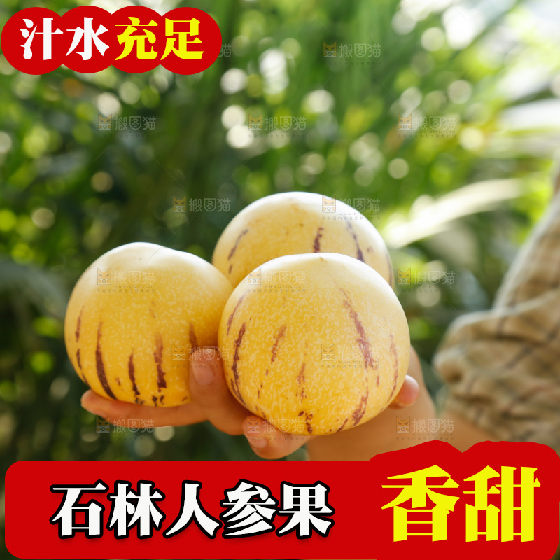 手里拿着石林人参果