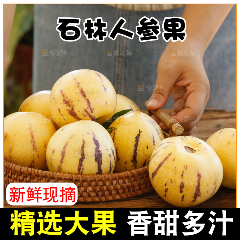 手里拿着石林人参果