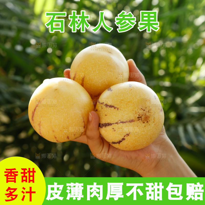 手里拿着石林人参果