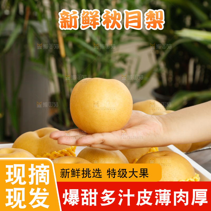 手里拿着一箱秋月梨
