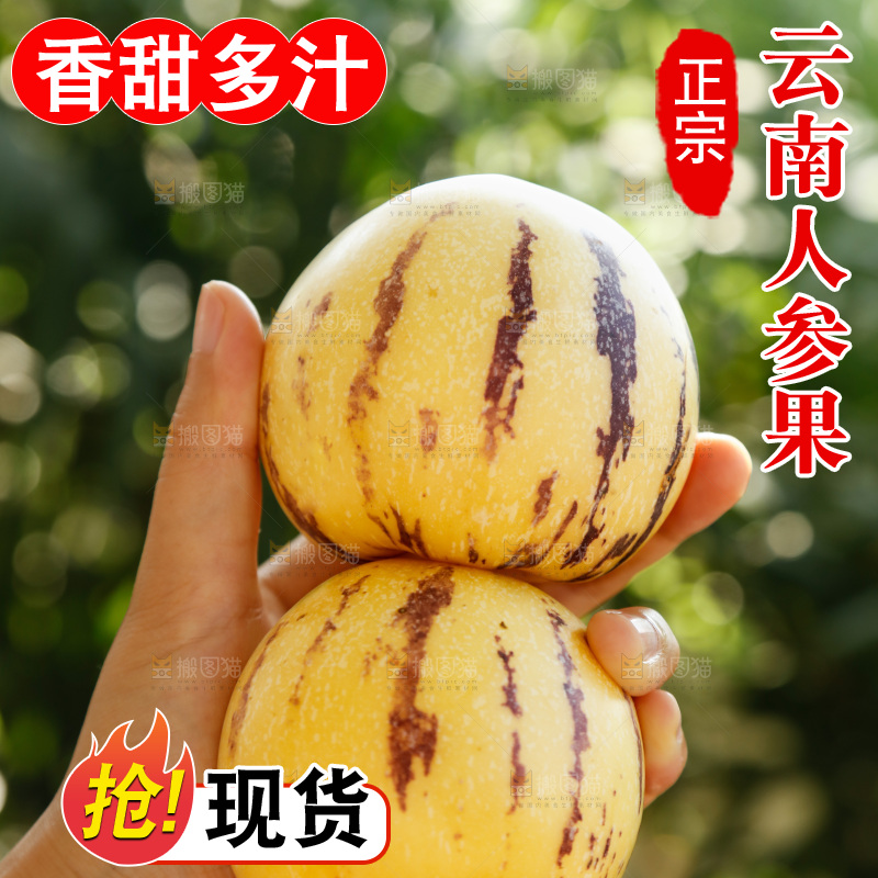 手里拿着石林人参果